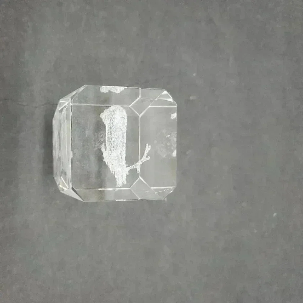Stag Laser Cut Glass Etched Paper Weight Clear Cube 3
